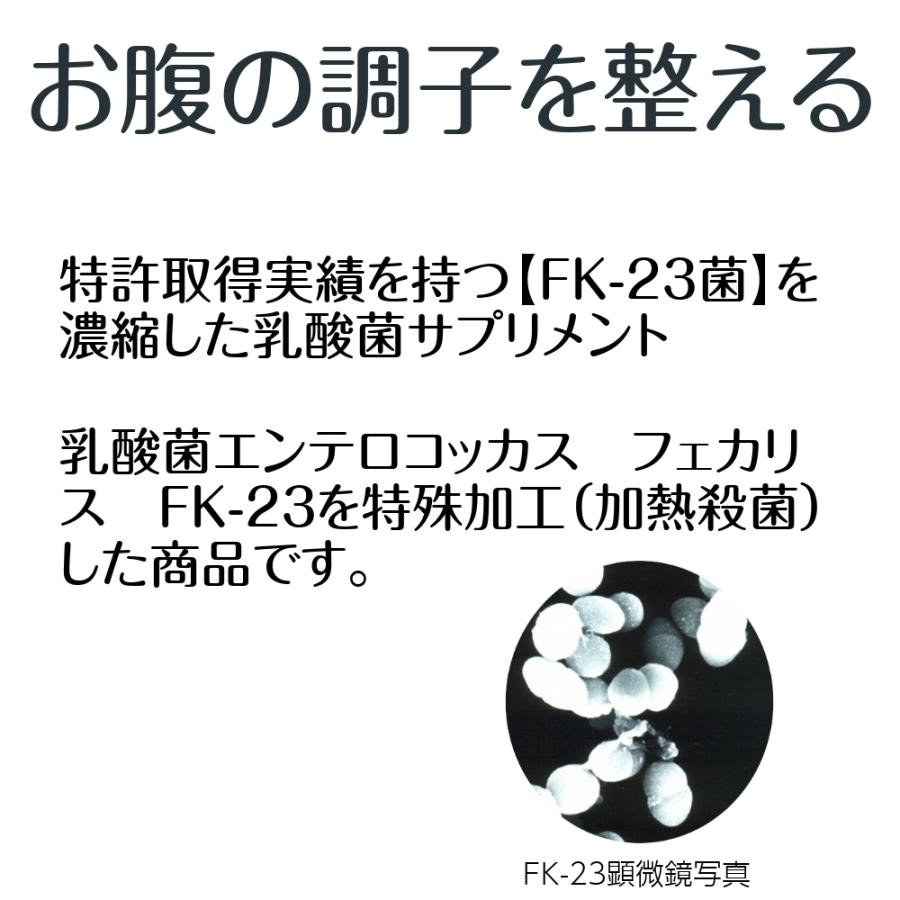 プロテサンG ポイント10倍 おまけつき 100包(1 5g×100包) 6箱 ニチニチ製薬 エンテロコッカス エンテロコッカス 100包(1