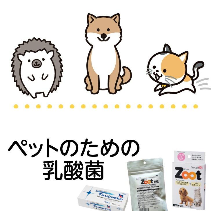 ペット専門 乳酸菌サプリメント ツヤット 30包 30g(1.0g×30包