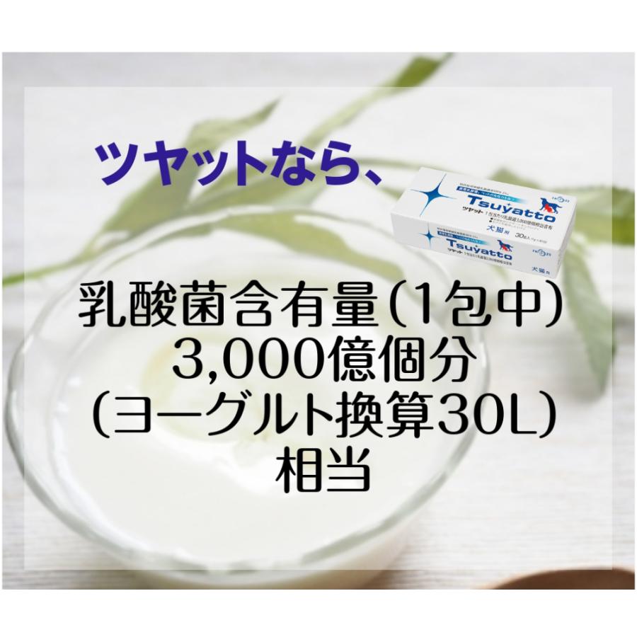 ペット専門 乳酸菌サプリメント ツヤット 30包 30g(1.0g×30包