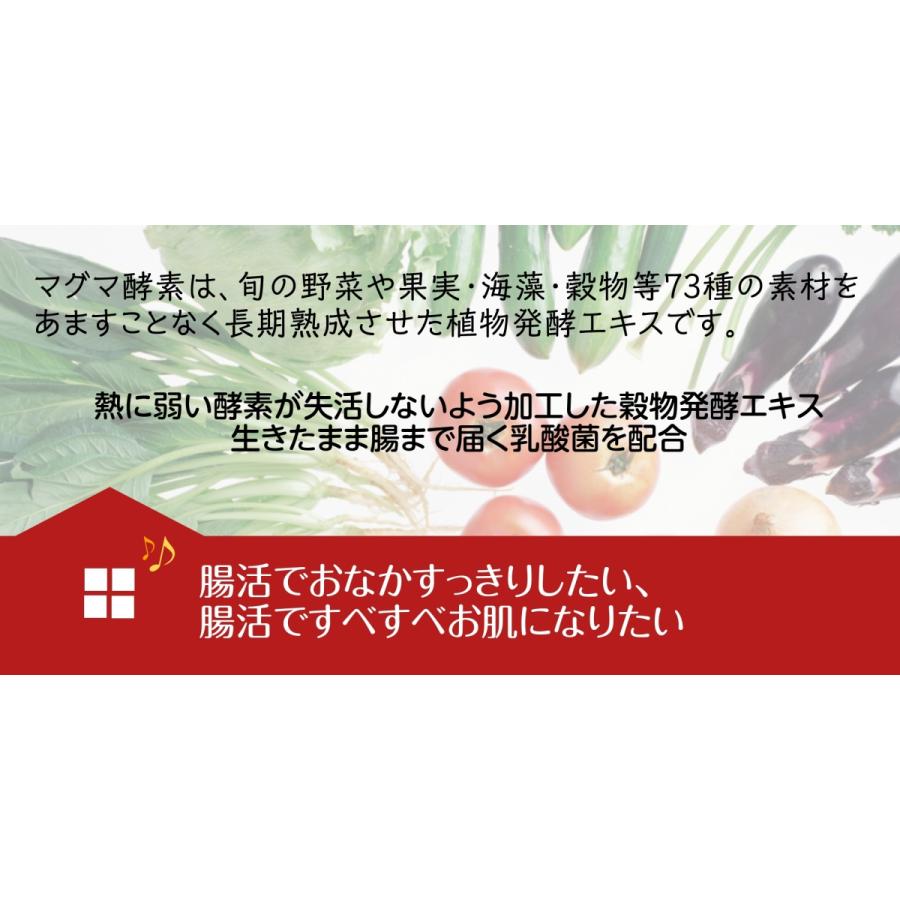 マグマ 酵素 3g 30スティック 水にさっと溶ける粉末酵素 漢方 酵素 ダイエット 美容 健康 Maguma Maguma Angel くすりのエンジェル 通販 Yahoo ショッピング