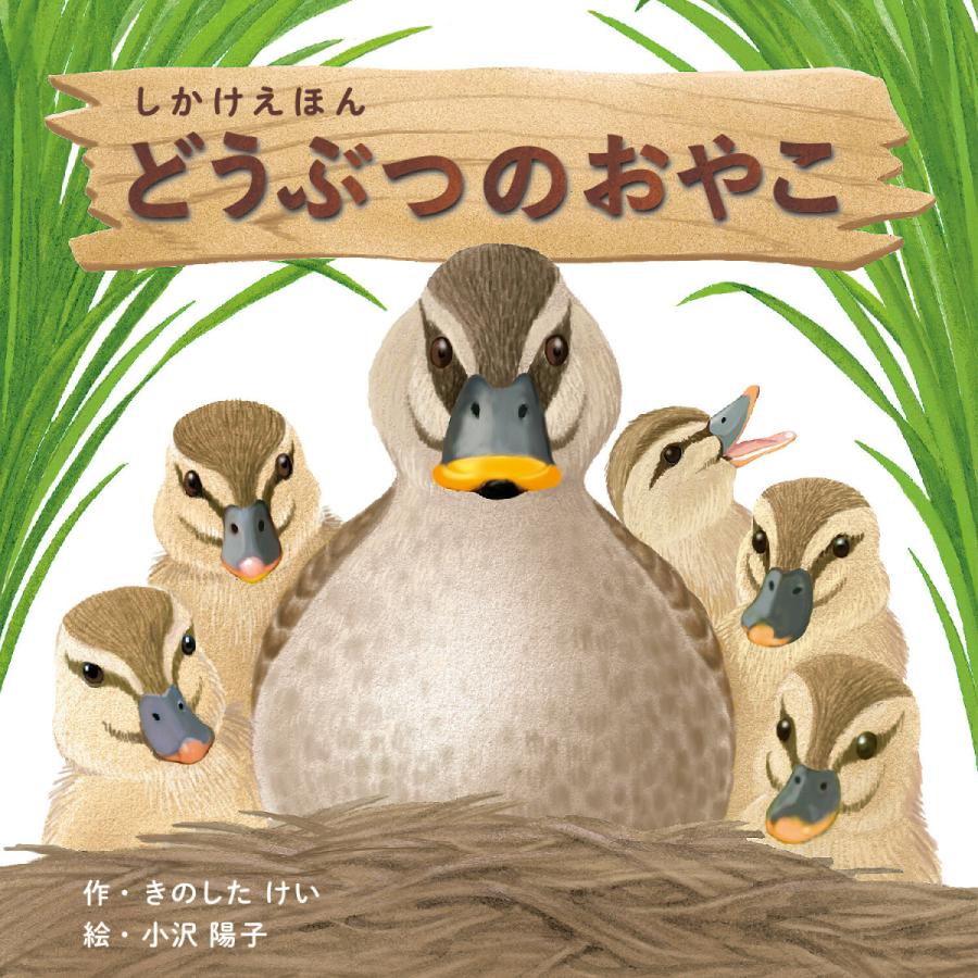 絵本 しかけ かわいい おもしろい 仕掛け 絵本 子供 喜ぶ 動物 親子 絵本 人気 クリスマス プレゼント 子供 どうぶつのおやこ 作 きのしたけい 絵 小沢 陽子 Ke Wc73 天使のドレス屋さんヤフー店 通販 Yahoo ショッピング