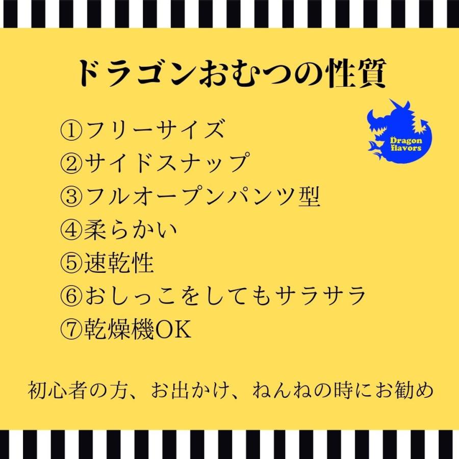 ドラゴンおむつカバー 布おむつカバー フリーサイズ AIO ポケットタイプ トイレットトレーニングにおすすめ パンツタイプにもなる  かわいい 内祝い 入園グッズ｜angena-shop｜21