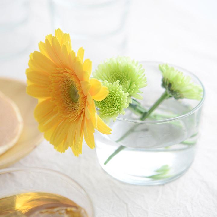 ボデガカップ220cc 6個セット／Bormioli Rocco【送料無料】 |  | 13