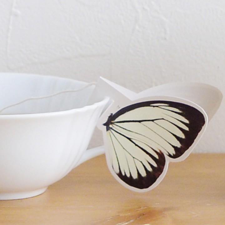 バタフライティー HANASAKA roots of kutani |  | 07