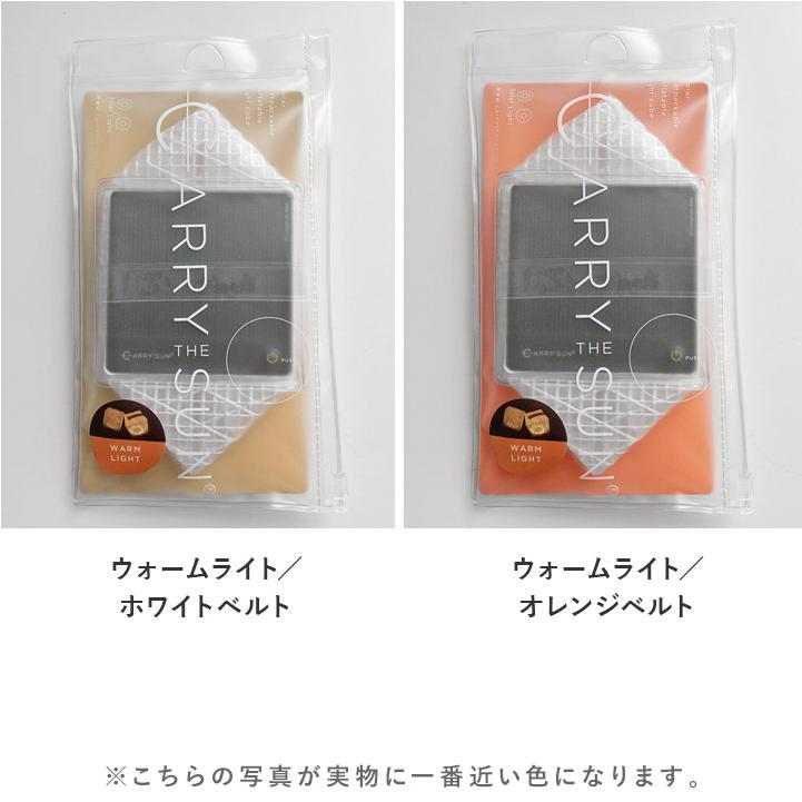 ソーラー充電式エコライト Small 防災／CARRY THE SUN |  | 01