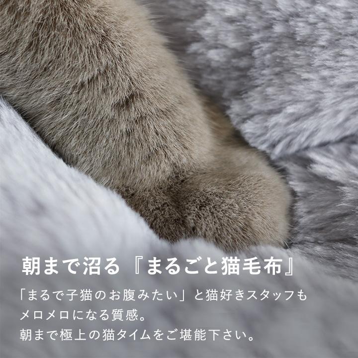 まるで猫 毛布 シングル 暖かい 2枚合わせ ブランケット 大判 bon moment ボンモマン【送料無料】 |  | 06