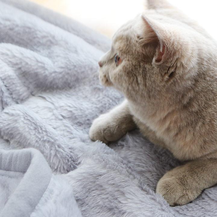 ブランケット 大判 おしゃれ 北欧 ひざ掛け ブランケット ひざかけ 膝掛け まるごと猫毛布 ひざ掛け bon moment ボンモマン | bon moment | 15