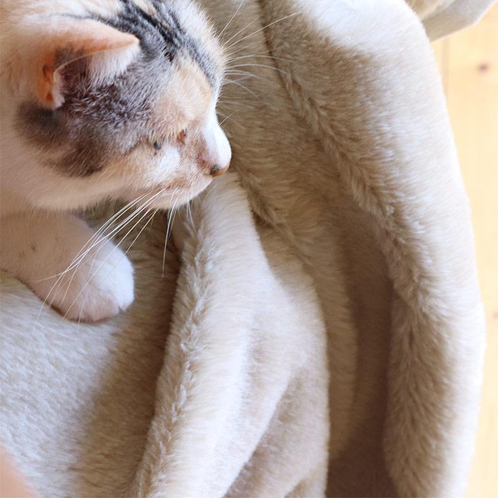 ブランケット 大判 おしゃれ 北欧 ひざ掛け ブランケット ひざかけ 膝掛け まるごと猫毛布 ひざ掛け bon moment ボンモマン | bon moment | 16