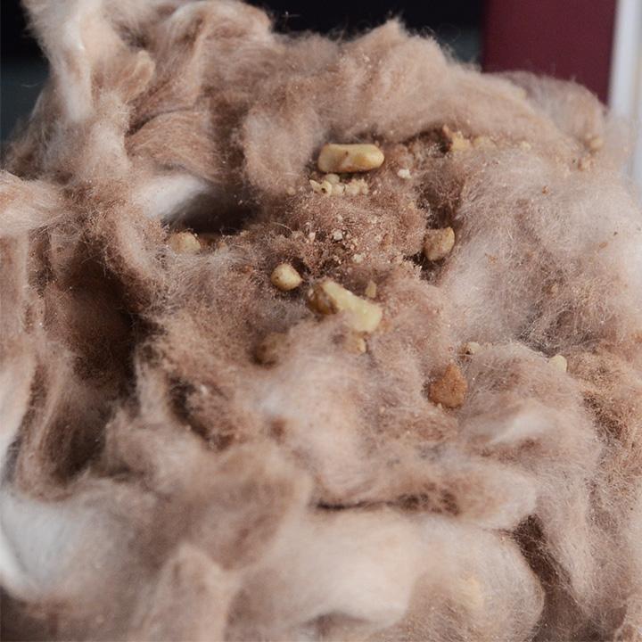 革命わたあめ セゾンドボンボンミニ 30g yrh バレンタイン ギフト 2026 チョコ ばらまき |  | 03