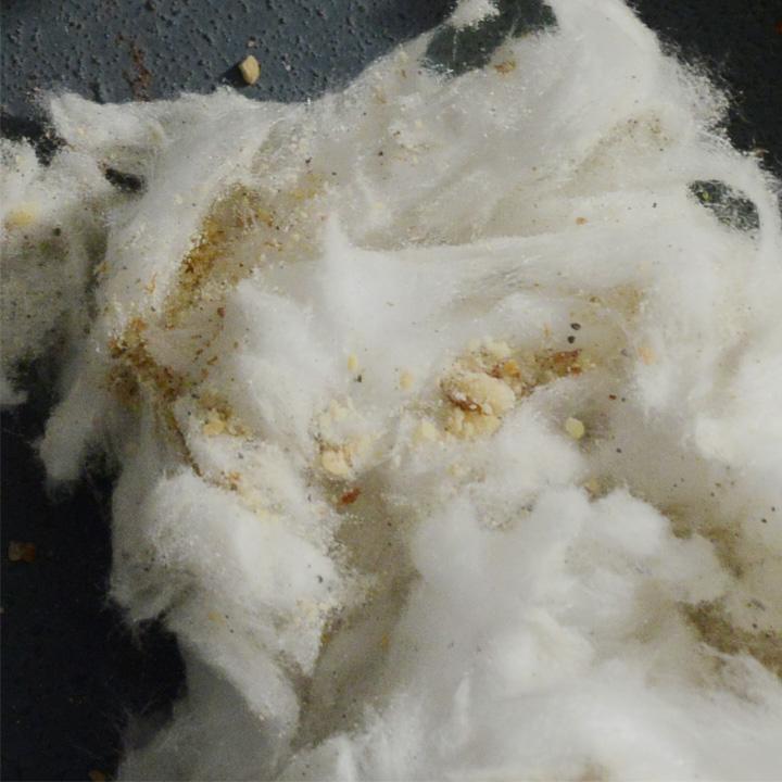 革命わたあめ セゾンドボンボン 65g 綿菓子 綿あめ yrh ギフト |  | 03