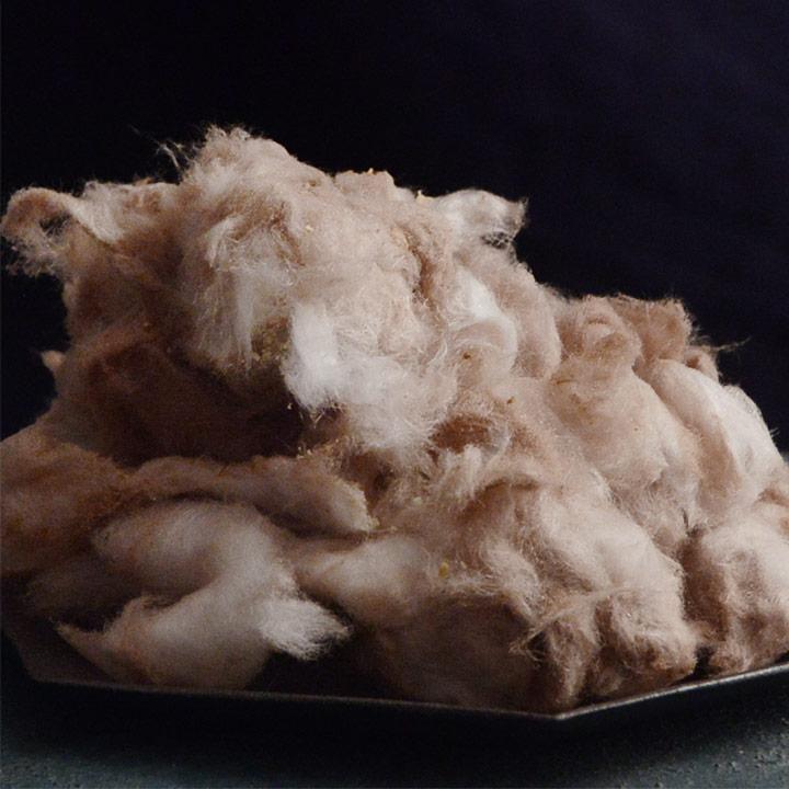 革命わたあめ セゾンドボンボン 65g 綿菓子 綿あめ yrh ギフト |  | 09