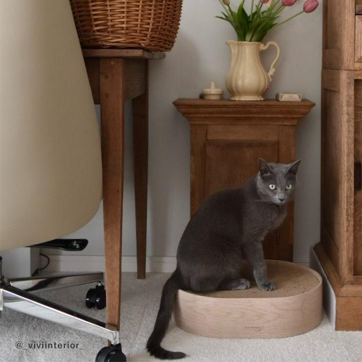 リビングに馴染む 木目調のオーバル 爪とぎ 3枚セット 爪研ぎ 猫 ダンボール bon moment cat ボンモマンキャット【送料無料】 | bon moment | 13
