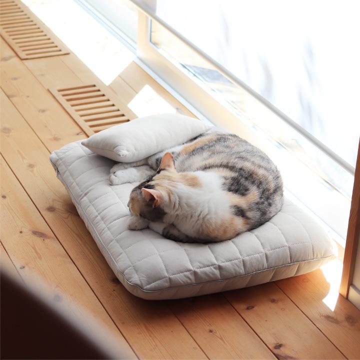 ひんやりドライコットン さらさら ペットベッド 夏用 まくら付き