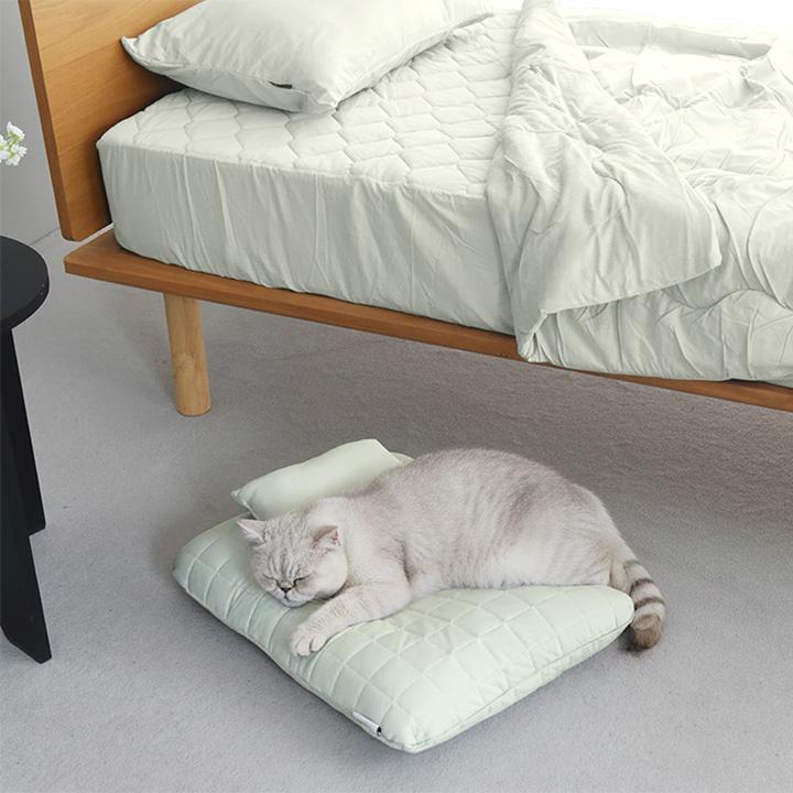 ひんやりドライコットン さらさら ペットベッド 夏用 まくら付き