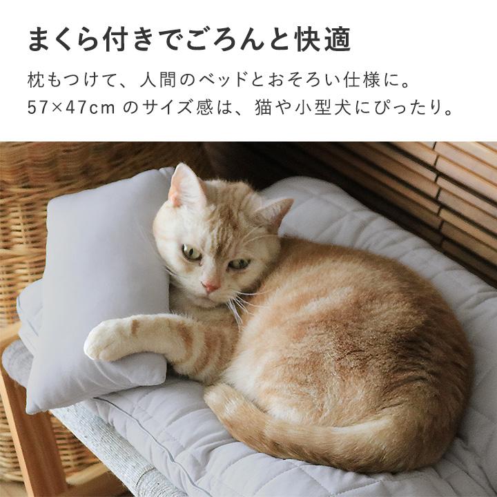 ひんやりドライコットン さらさら ペットベッド 夏用 まくら付き