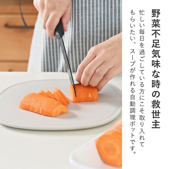 予約商品】ほったらかしでスープも作れる 自動調理ポット ラージ 800ml