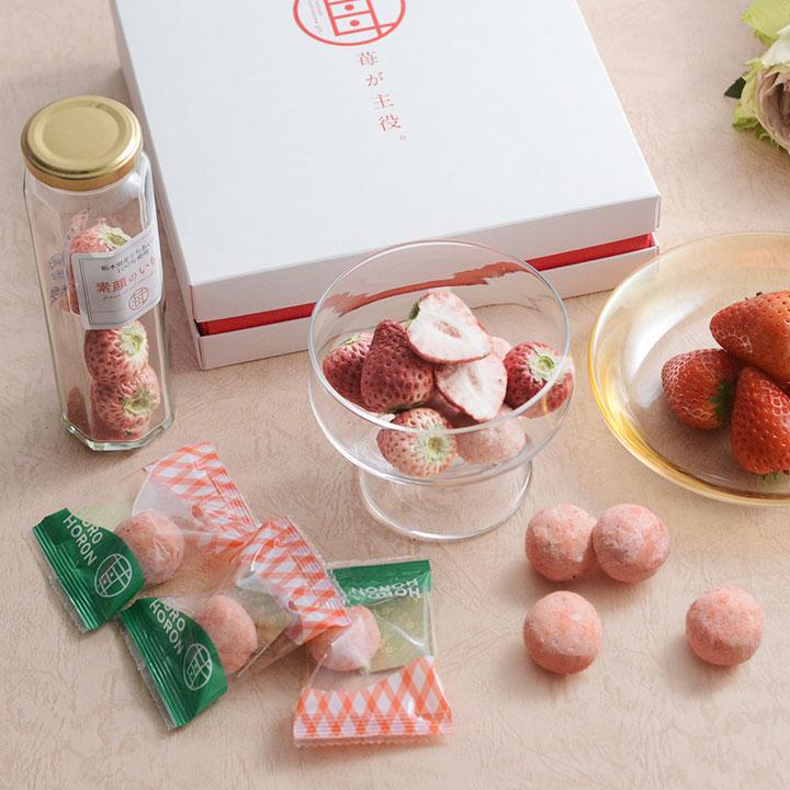 【いちごさま】ご購入品◆2026成毅 送料込】美味しいいちごづくしセット: チョコレート|LOTTE GROUP公式