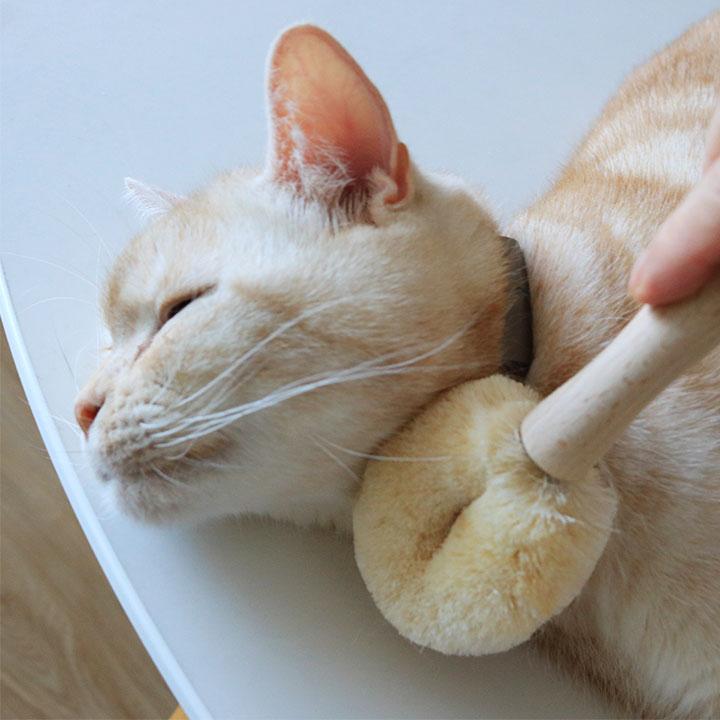 猫 ブラシ ブラッシング 毛づくろい ペットブラシ 天然素材 日本製 たわし職人がつくった ネコちゃんブラシ（猫用たわし） 北山正積商店 |  | 11