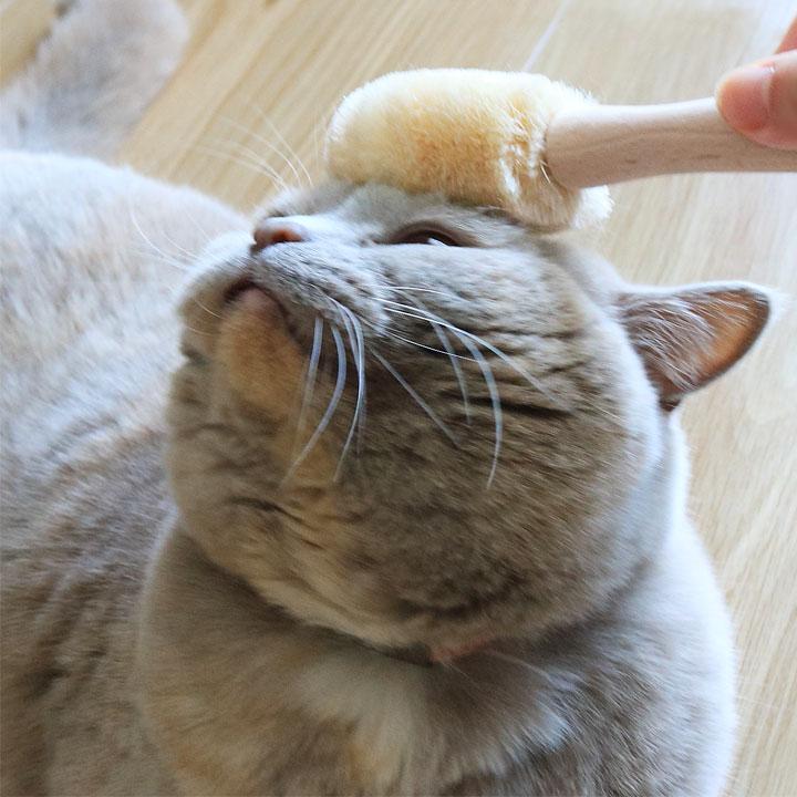 猫 ブラシ ブラッシング 毛づくろい ペットブラシ 天然素材 日本製 たわし職人がつくった ネコちゃんブラシ（猫用たわし） 北山正積商店 |  | 01