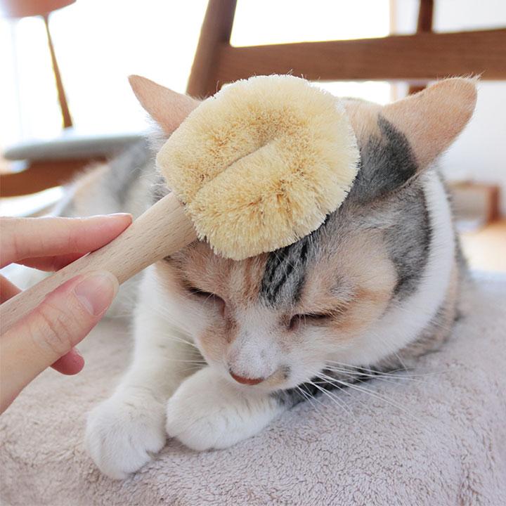 猫 ブラシ ブラッシング 毛づくろい ペットブラシ 天然素材 日本製 たわし職人がつくった ネコちゃんブラシ（猫用たわし） 北山正積商店 |  | 02
