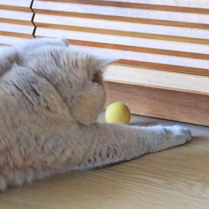 やさしく遊べる コロコロボール 8個入り ウール100% 日本製 猫 おもちゃ ボール 一人遊び ねこおもちゃ ねこ／necono ネコノ |  | 09