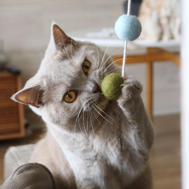 やさしく遊べる コロコロボールの 猫じゃらし 猫 おもちゃ ボール 一人遊び ねこおもちゃ ねこ ウール100% 日本製／necono ネコノ |  | 05