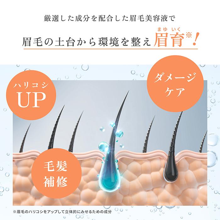 メール便送料無料 眉毛美容液 まゆ毛美容液 スカルプD アイブロウ セラム ピュア アイブロー 眉 眉毛 男性 女性 50代 正規 美容液 まゆげ コスメ アンファー | スカルプD | 09