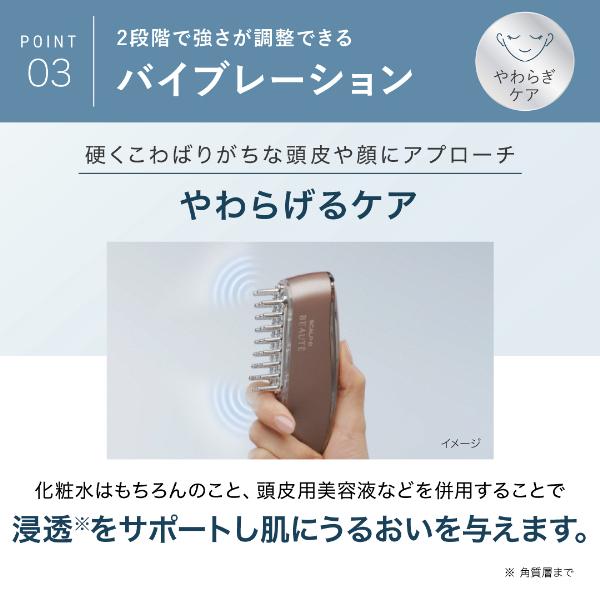 スカルプD ボーテ 全額返金保証 スカルプ 電気ブラシ 女性用 育毛剤