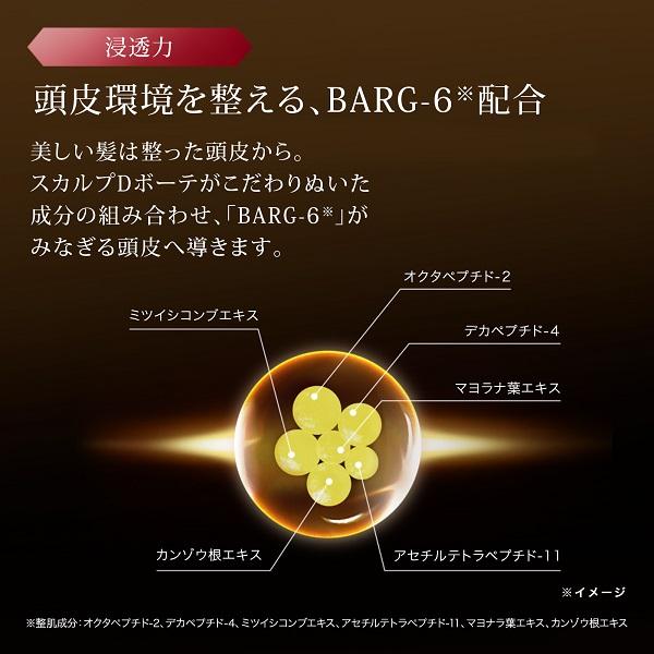 レディース シャンプー ボトル トリートメント ディグニティ 2点セット スカルプＤ ボーテ スカルプシャンプー 女性 ヘアケア レディース | スカルプD ボーテ | 06