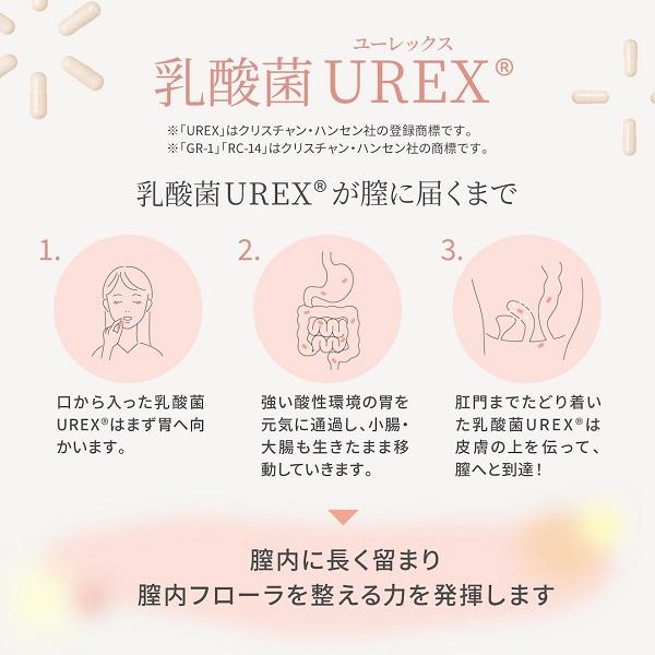 Femtur フェムチャー　フローラプロテクトサプリ デリケートゾーン サプリ 乳酸菌 膣内フローラ ニオイ フェムケア | アンファー | 06