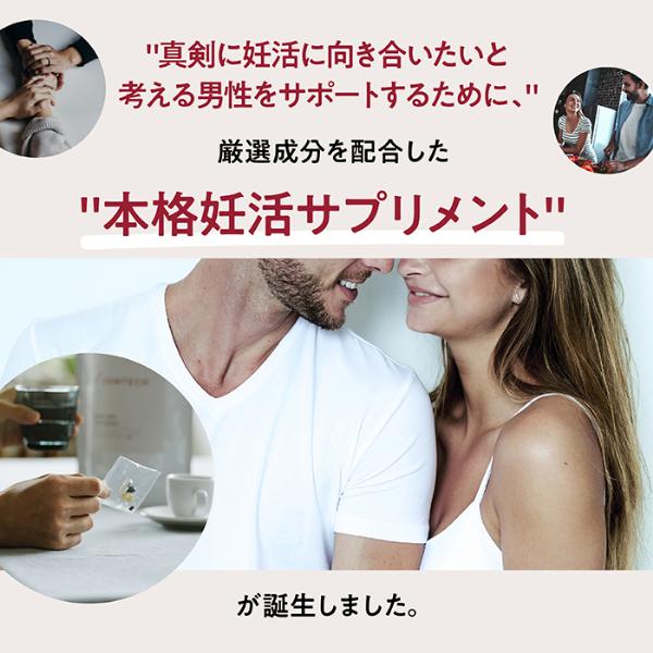 送料無料 個包装 オムテック メンズシードサプリメント 約30日分 メンズ 男性 妊活サプリ 妊活 コエンザイムQ10 アスタキサンチン 亜鉛 葉酸 | アンファー | 06