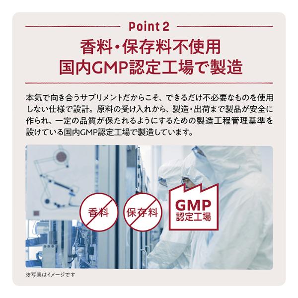 送料無料 個包装 オムテック メンズシードサプリメント 約30日分 メンズ 男性 妊活サプリ 妊活 コエンザイムQ10 アスタキサンチン 亜鉛 葉酸 | アンファー | 08