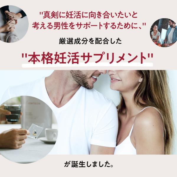 送料無料 単品より6318円お得 個包装 オムテック　メンズシードサプリメント 約30日分×3個セット 男性 メンズ 妊活サプリ 亜鉛 葉酸 | アンファー | 06