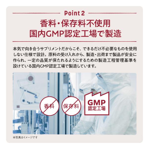 送料無料 単品より6318円お得 個包装 オムテック　メンズシードサプリメント 約30日分×3個セット 男性 メンズ 妊活サプリ 亜鉛 葉酸 | アンファー | 08