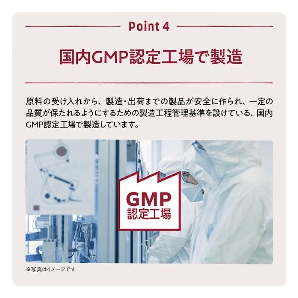 メール便なら送料無料 オムテック メンズ ウェルネスプロテイン チョコレート味 抹茶味 バナナ味 メンズ 男性 妊活 ビタミン | アンファー | 14