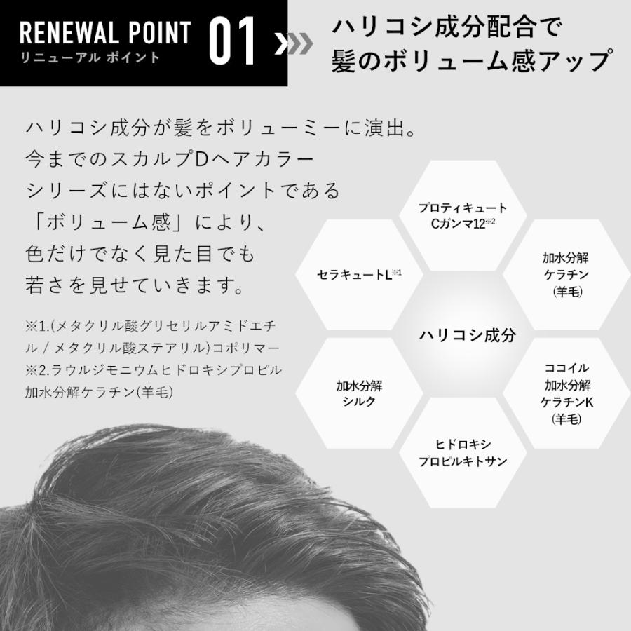 白髪染め ヘアカラー シャンプー + コンディショナーナチュラル