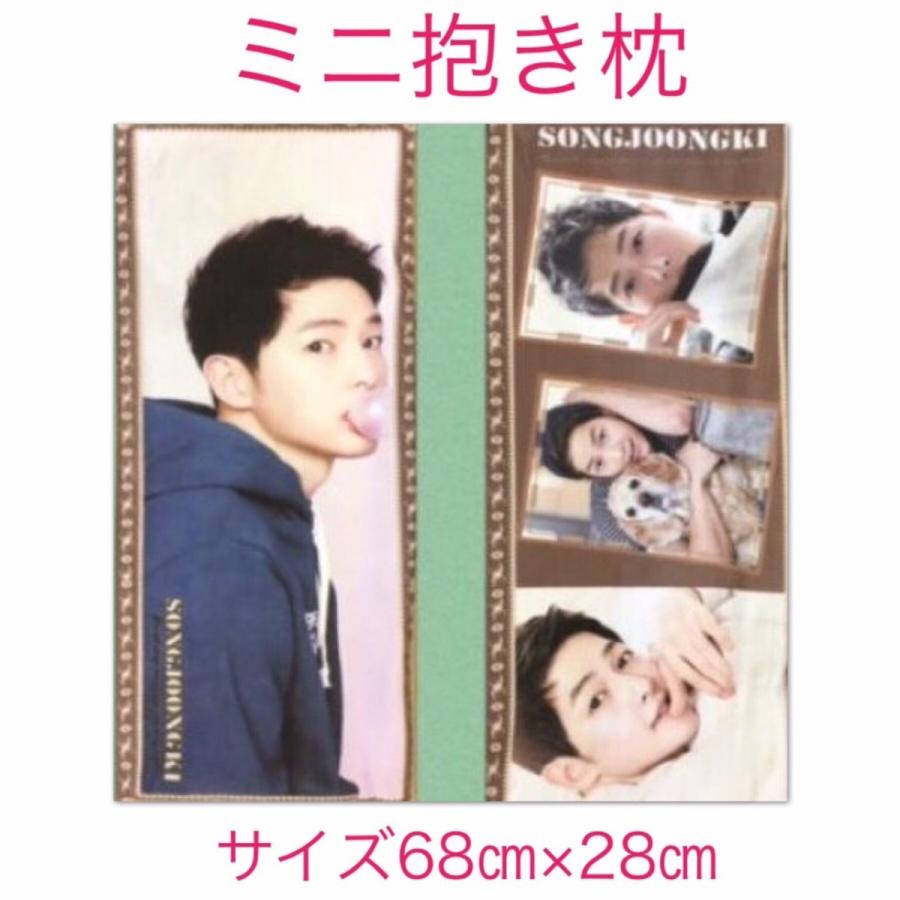 中綿付き ソンジュンギ Song Joongki ソン ジュンギ クッション カバー 布製 両面 ミニ 抱き枕 枕 韓流 アイドル グッズ 韓国 雑貨 Ab076 1 Ab076 1 アンジーソウル 通販 Yahoo ショッピング