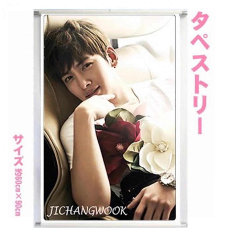 チチャンウク Ji Chang Wook チ チャンウク 大型 タペストリー 60 90 韓流 グッズ 048 15 048 15 アンジーソウル 通販 Yahoo ショッピング