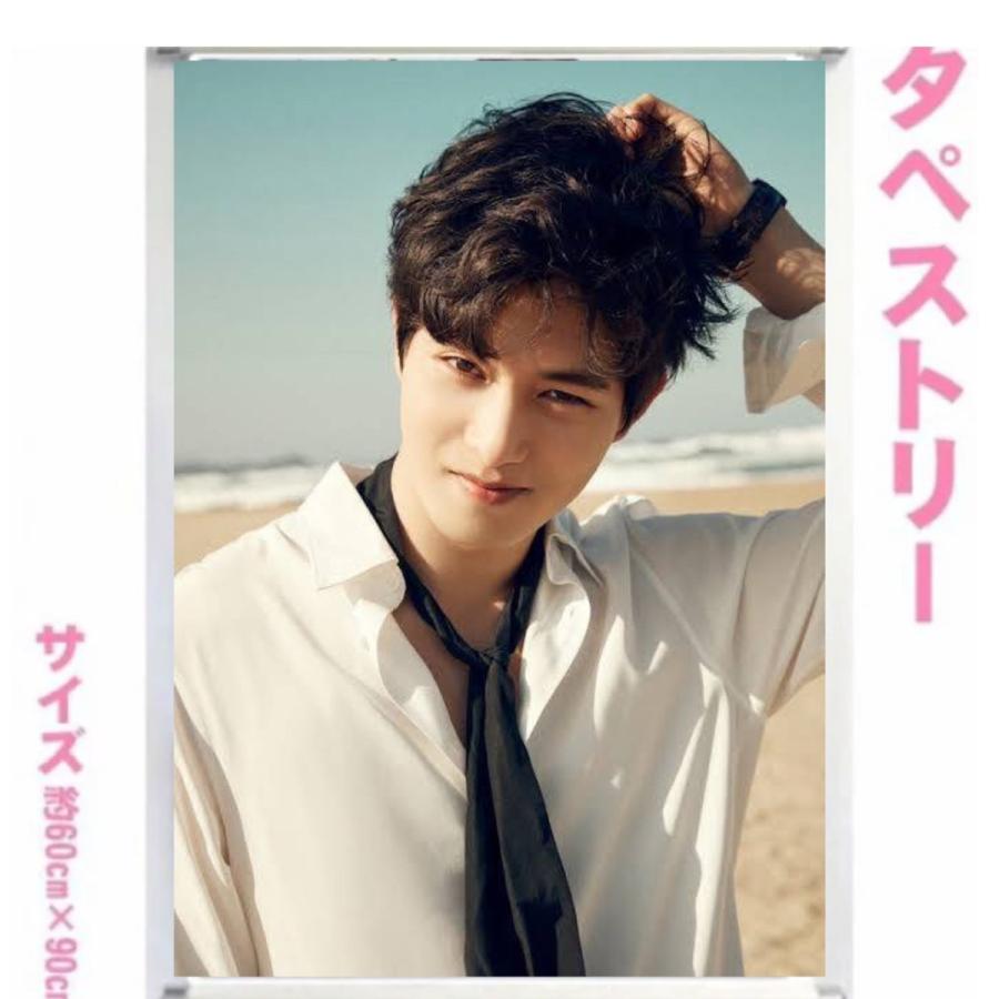 ジョンヒョン CNBLUE 大型 タペストリー 60×90 韓流 グッズ bb059-20
