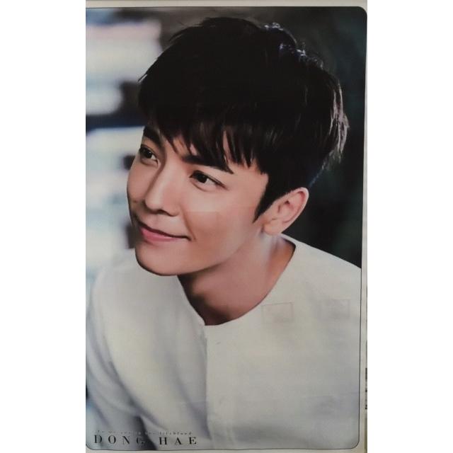 ドンへ DONGHAE SUPERJUNIOR スーパージュニア 大型 タペストリー 60 