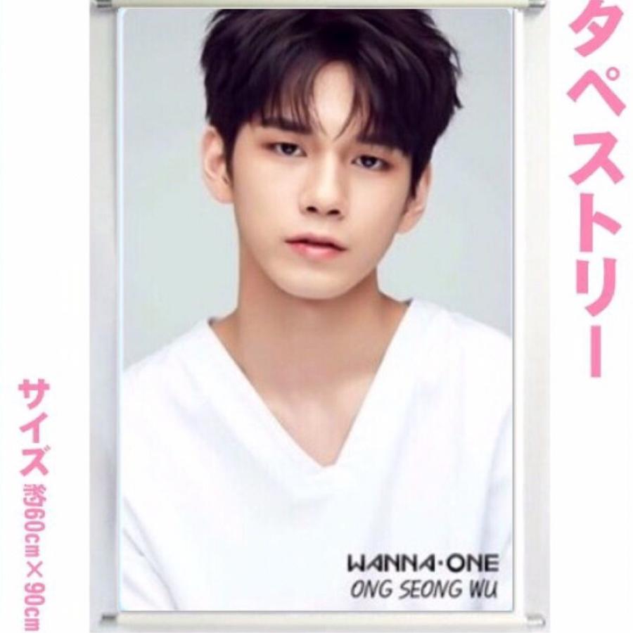 WANNAONE オンソンウ 大型 タペストリー 60×90 韓流 グッズ bb130-0
