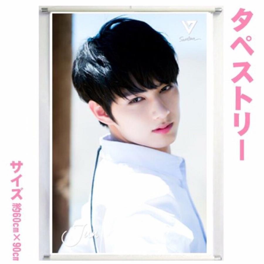 セブンティーン Seventeen ジュン セブチ 大型 タペストリー 60 90 韓流 グッズ 143 1 143 1 アンジーソウル 通販 Yahoo ショッピング