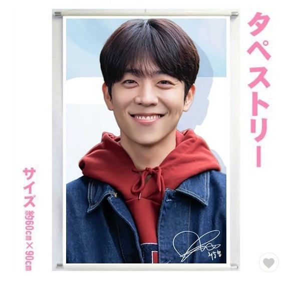 チェジョンヒョプ 大型 タペストリー 60×90 韓流 グッズ bb203-10 