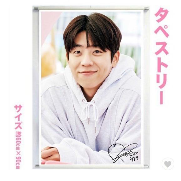 チェジョンヒョプ 大型 タペストリー 60×90 韓流 グッズ bb203-9