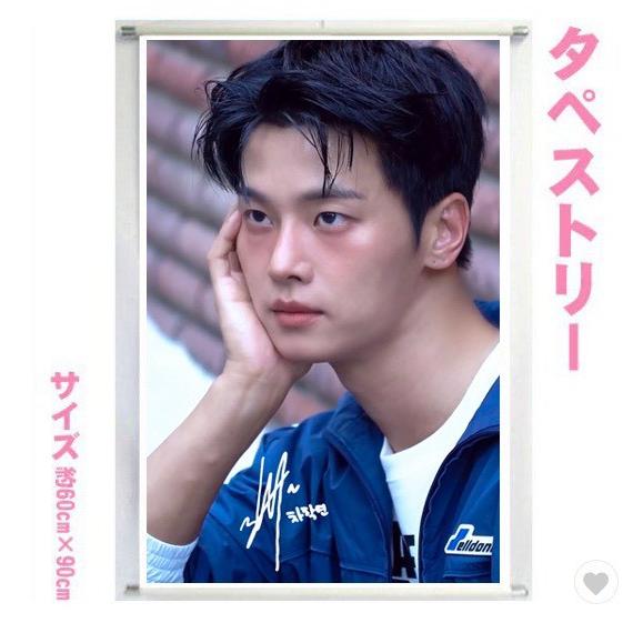 チャハギョン VIXX エン 大型 タペストリー 60×90 韓流 グッズ bb213-1