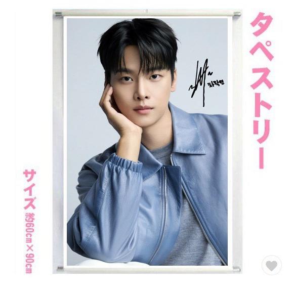 チャハギョン VIXX エン 大型 タペストリー 60×90 韓流 グッズ bb213