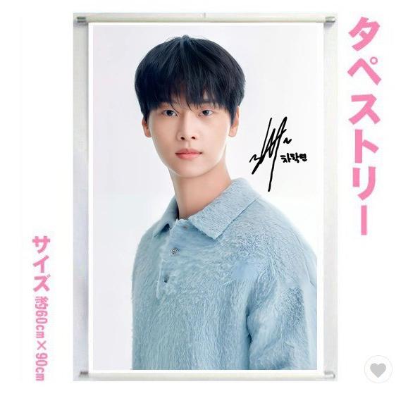 チャハギョン VIXX エン 大型 タペストリー 60×90 韓流 グッズ bb213