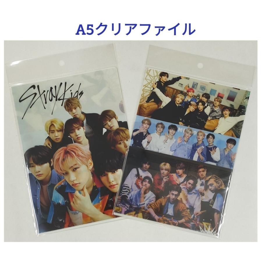StrayKids ストレイキッズ スキズ A5 クリアファイル 韓流 グッズ