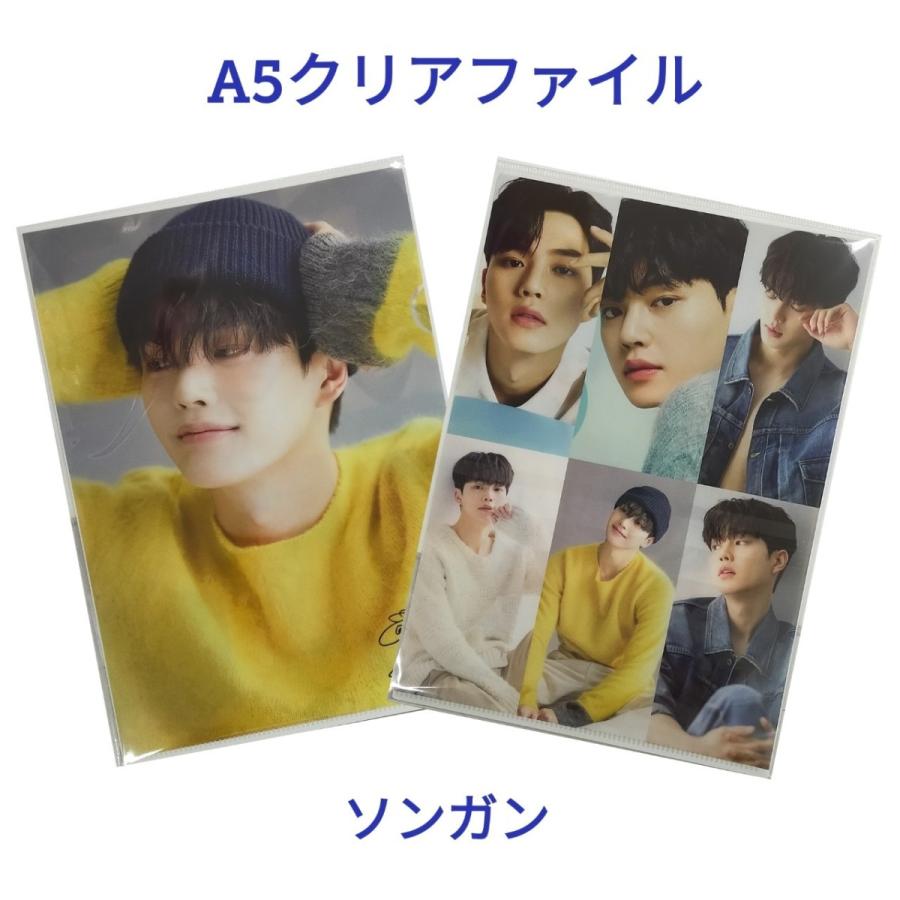 ソンガン A5 クリアファイル 韓流 アイドル グッズ 韓国 雑貨 fb073-2