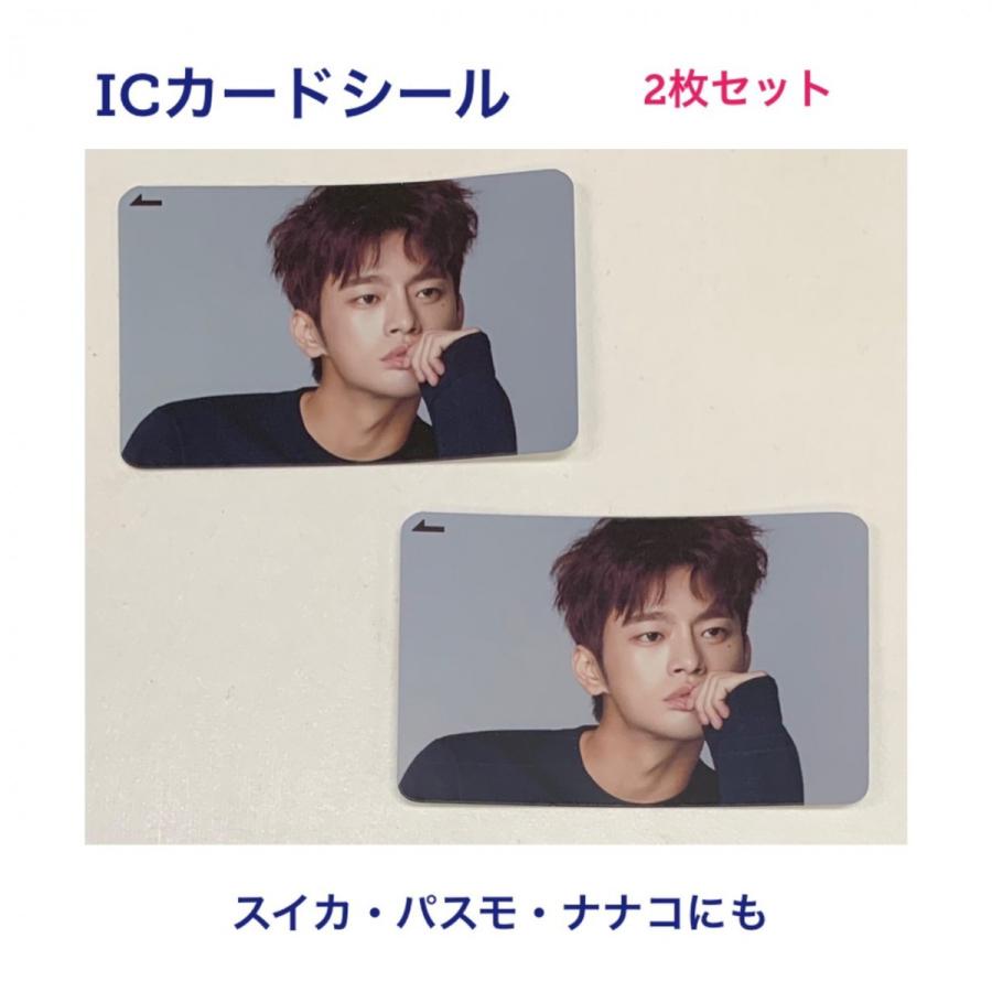 ソイングク IC カード シール 2枚セット 韓流 グッズ fs013-3